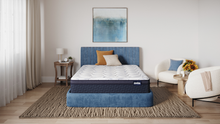 Load image into Gallery viewer, America's Mattress - Appalachian Plush Euro Top Mattress