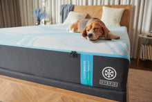 Load image into Gallery viewer, Tempur-Pedic - TEMPUR-Breeze® LuxeBreeze® Medium Hybrid Mattress (2023)
